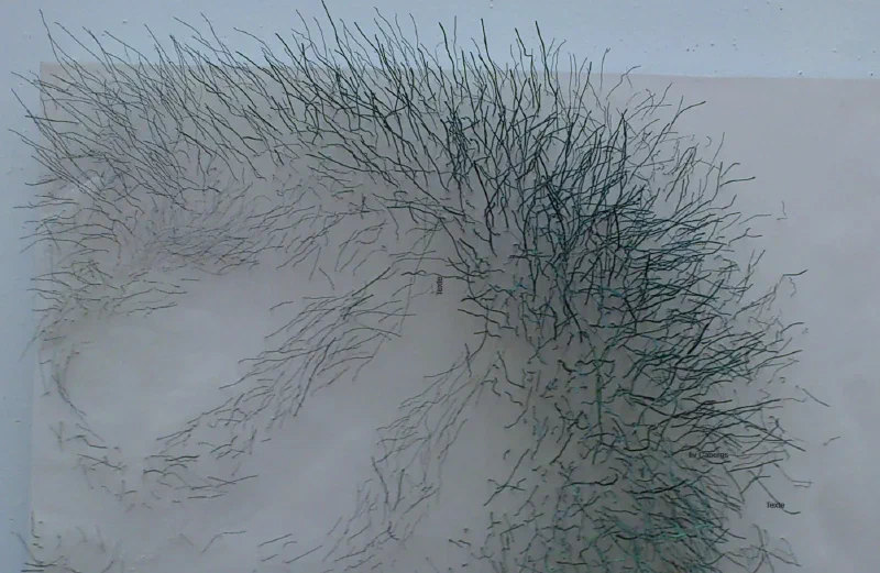 Seasonal Transhumance — Copper wires and gips